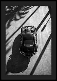 A classic Jaguar E-Type captured in the shade of tall palm trees-4