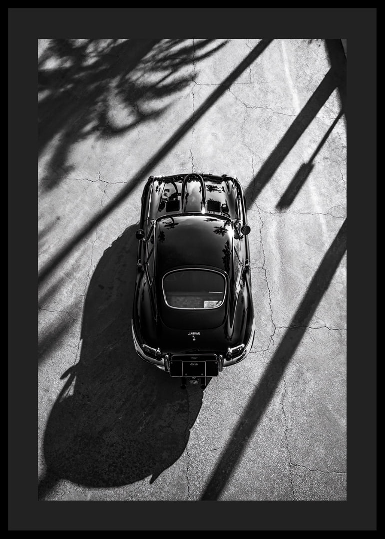A classic Jaguar E-Type captured in the shade of tall palm trees-12