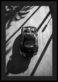 En klassisk  Jaguar E-Type fångad i skuggan av höga palmer-4