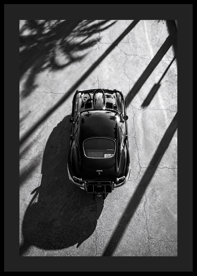 En klassisk  Jaguar E-Type fångad i skuggan av höga palmer-12