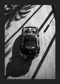 A classic Jaguar E-Type captured in the shade of tall palm trees-5