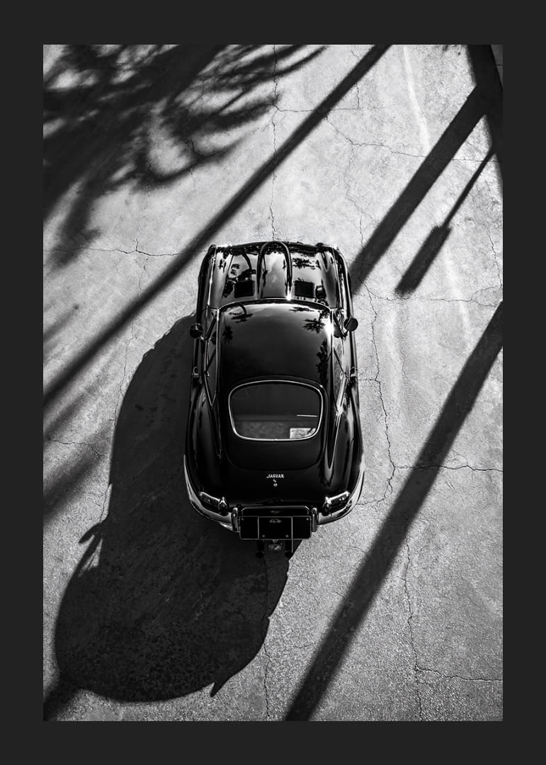 En klassisk  Jaguar E-Type fångad i skuggan av höga palmer-12