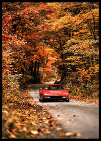 A red Ferrari Testarossa is surrounded by the glowing colors of autumn.-6
