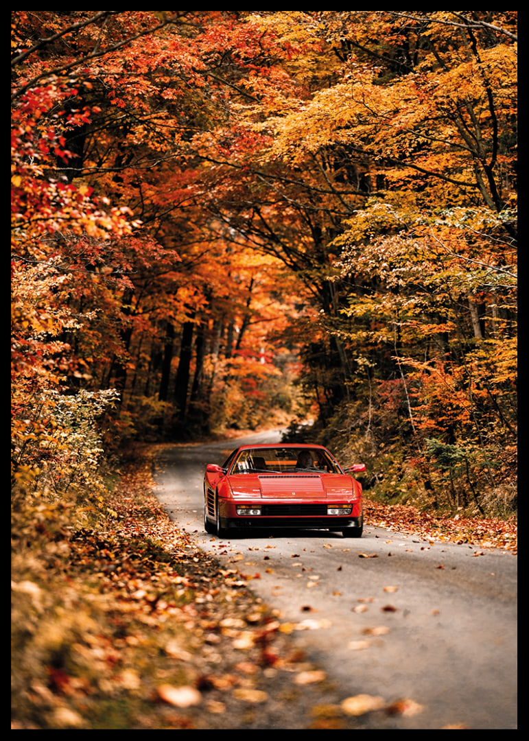 A red Ferrari Testarossa is surrounded by the glowing colors of autumn.-12