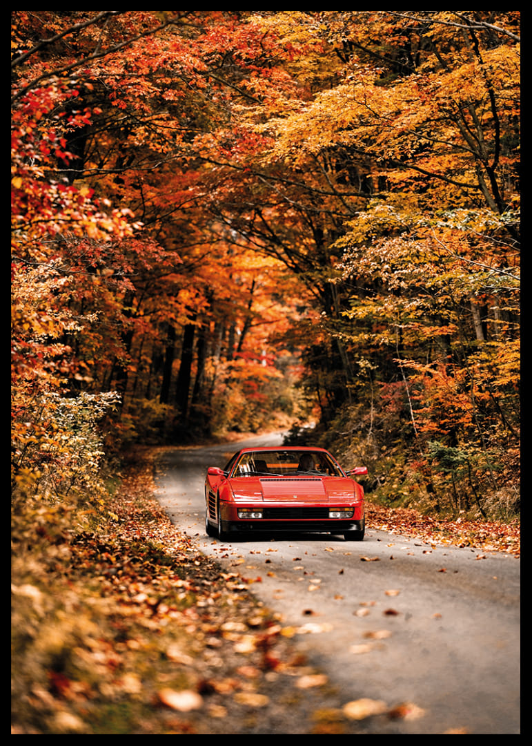 Sarkanu Ferrari Testarossa ieskauj rudens mirdzošās krāsas.-12