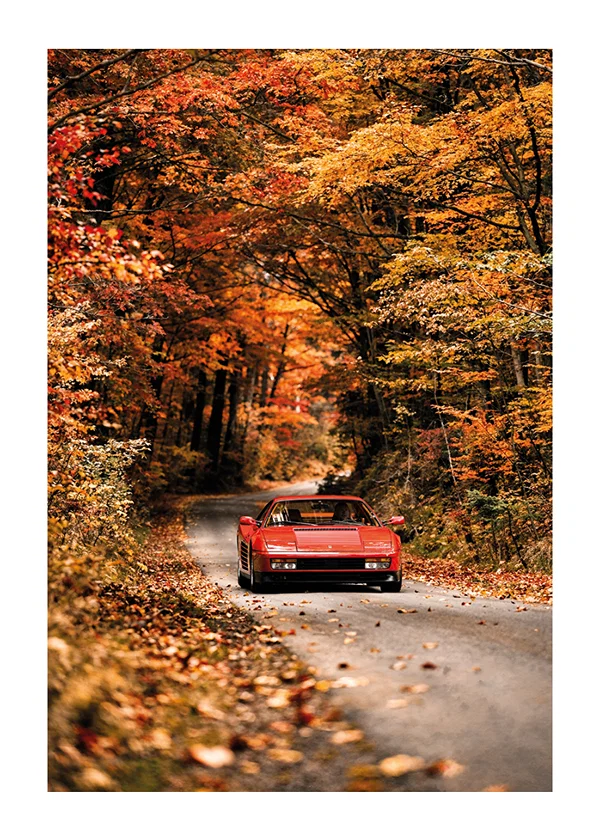 Poster Ferrari Testarossa Autumn Drive 