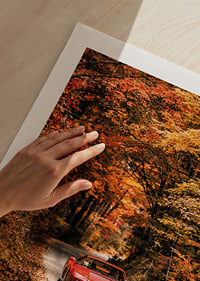 A red Ferrari Testarossa is surrounded by the glowing colors of autumn.-9