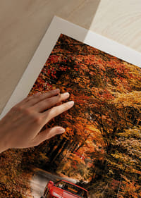 Sarkanu Ferrari Testarossa ieskauj rudens mirdzošās krāsas.-5