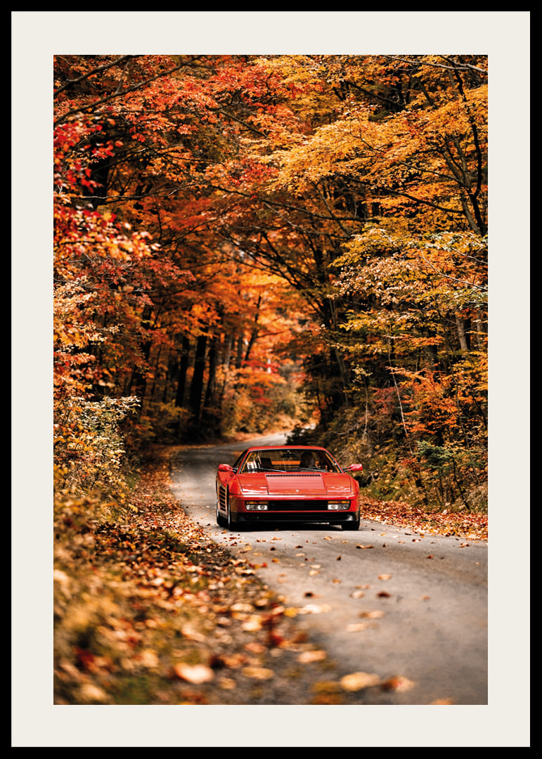 En röd Ferrari Testarossa omges av höstens glödande färger.-12