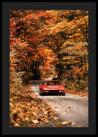 En röd Ferrari Testarossa omges av höstens glödande färger.-4