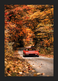 En röd Ferrari Testarossa omges av höstens glödande färger.-5