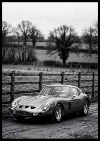 En klassisk Ferrari 250 GTO står ståtlig på en grusväg omgiven av träd.-2