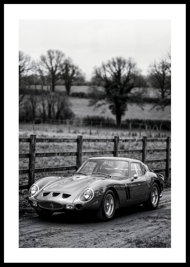 En klassisk Ferrari 250 GTO står ståtlig på en grusväg omgiven av träd.-12