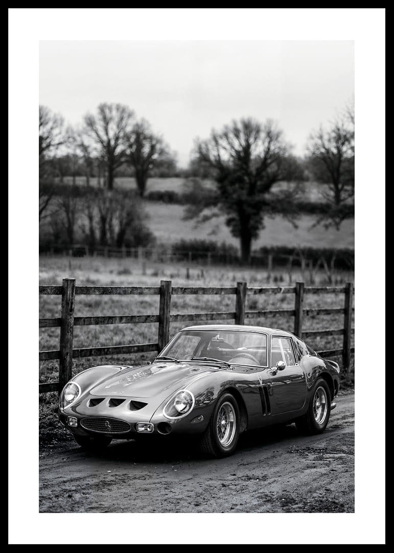 En klassisk Ferrari 250 GTO står ståtlig på en grusväg omgiven av träd.-12