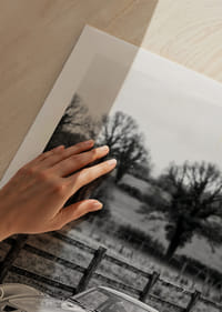 En klassisk Ferrari 250 GTO står ståtlig på en grusväg omgiven av träd.-5