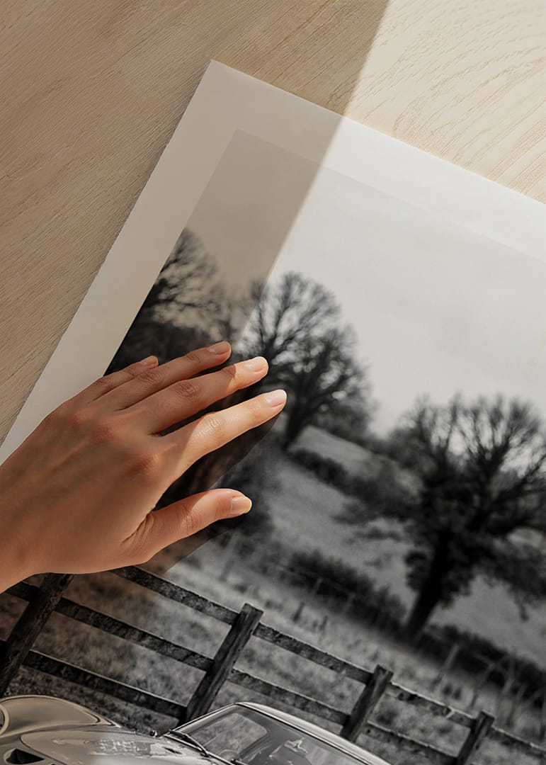 En klassisk Ferrari 250 GTO står ståtlig på en grusväg omgiven av träd.-12