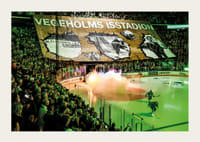 Vegeholms Isstadion Tifo Rögle BK 2026-5