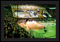 Vegeholms Isstadion Tifo Rögle BK 2026-6