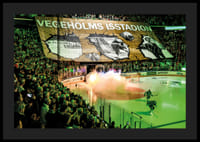 Vegeholms Isstadion Tifo Rögle BK 2026-6