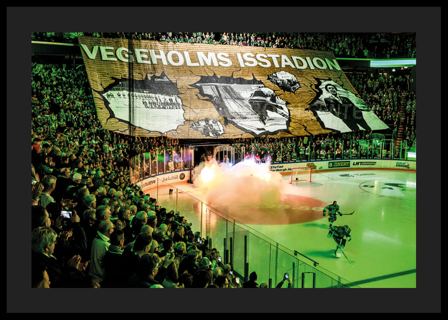 Vegeholms Isstadion Tifo Rögle BK 2026-12