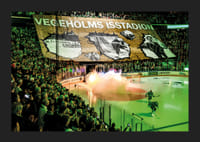 Vegeholms Isstadion Tifo Rögle BK 2026-7