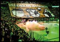 Vegeholms Isstadion Tifo Rögle BK 2026-8