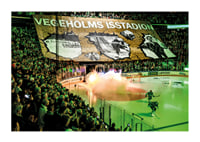 Vegeholms Isstadion Tifo Rögle BK 2026-3