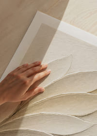 Mjuka blomblad i en lugn, krämig ton.-5