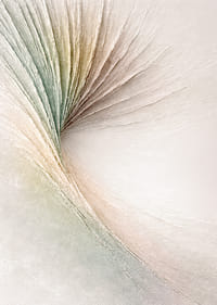 En mjuk virvel av subtila pastelltoner skapar elegans.-3