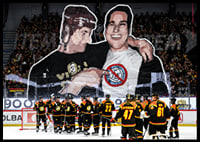 Tifo No20 Brynäs-4
