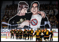 Tifo No20 Brynäs-4