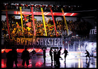 Tifo No21 Brynäs-4