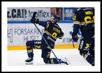 Hugo Pettersson HV71 2025 No2-2