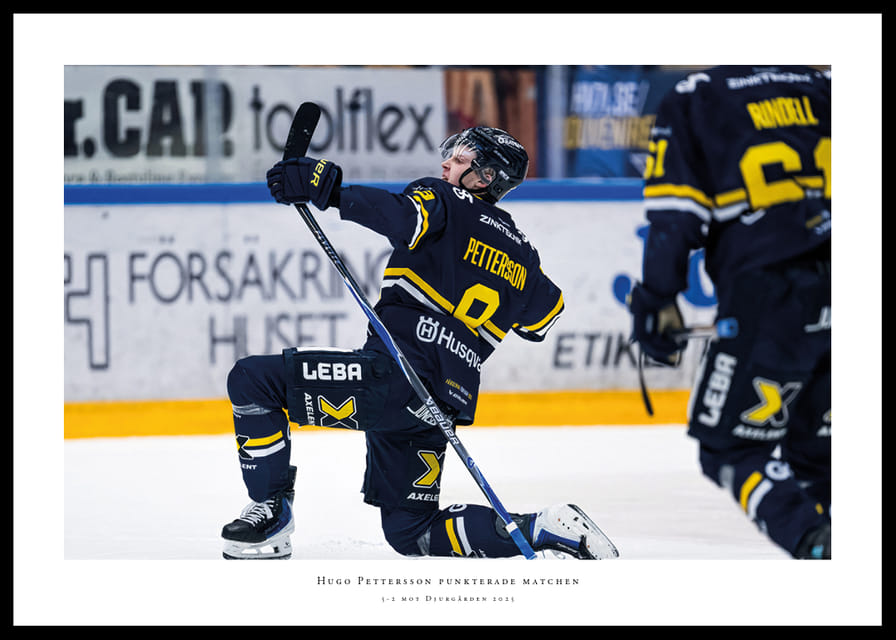 Hugo Pettersson HV71 2025 No2-12