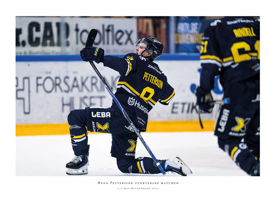 Hugo Pettersson HV71 2025 No2-12