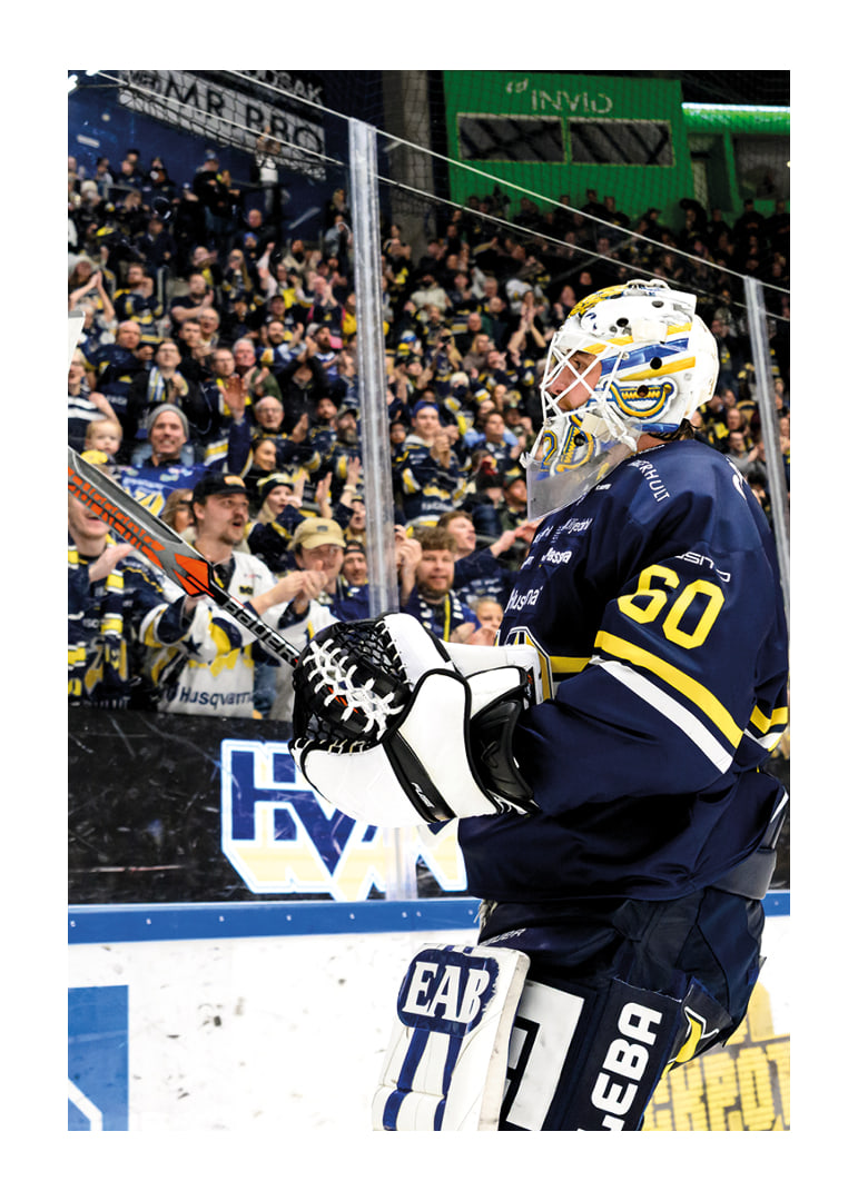 Felix Sandström HV71 2026-12
