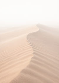 A soft wave of sand sweeps through a desolate landscape.-7