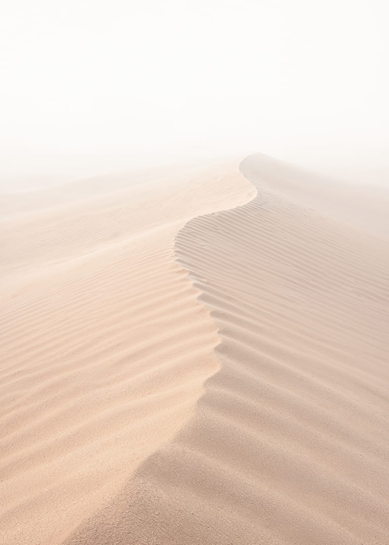 A soft wave of sand sweeps through a desolate landscape.-12