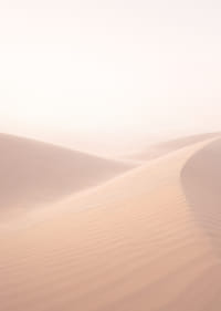 Myke, rosa sanddyner skaper en drømmeaktig atmosfære.-7