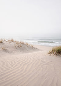 Soft sand dunes on a quiet beach create peace and harmony.-7