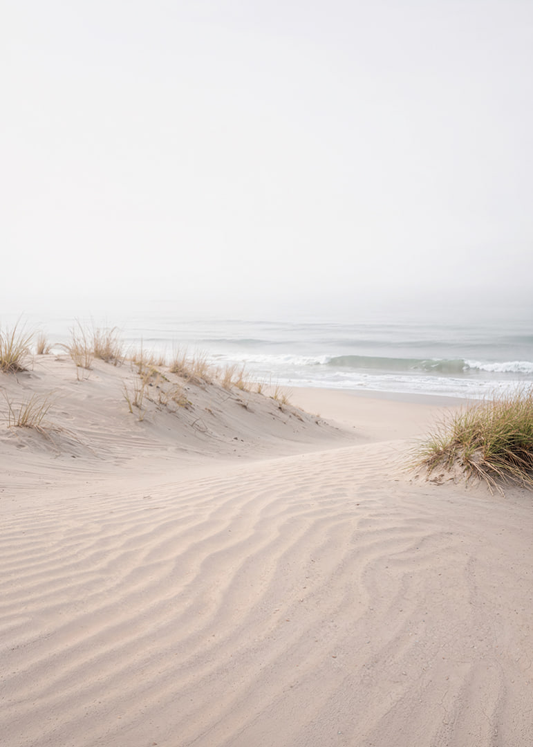 Soft sand dunes on a quiet beach create peace and harmony.-12