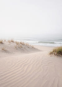 Myke sanddyner på en stille strand skaper fred og harmoni.-7