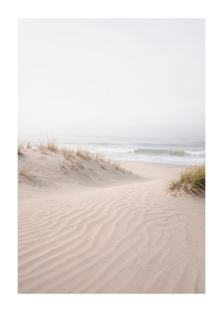 Soft sand dunes on a quiet beach create peace and harmony.-12