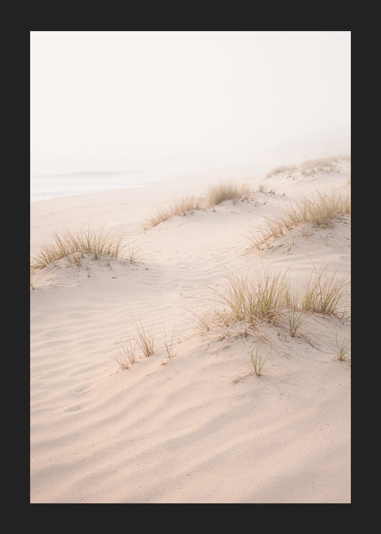 Soft sand dunes in a dreamlike light create peace and tranquility.-12