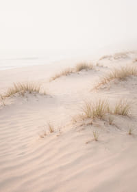 Soft sand dunes in a dreamlike light create peace and tranquility.-7