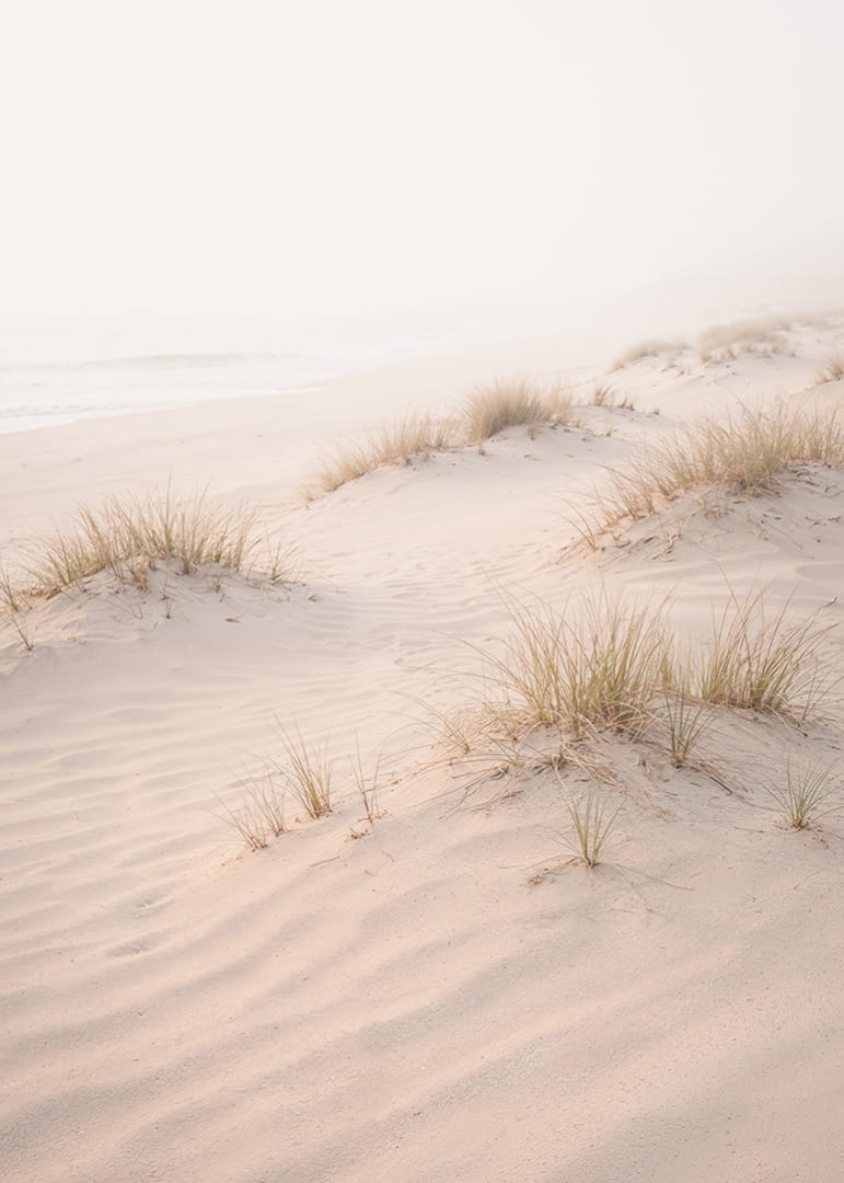 Soft sand dunes in a dreamlike light create peace and tranquility.-12