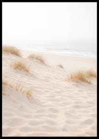 Soft sand and fog create a dreamlike beach atmosphere.-6