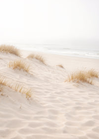 Soft sand and fog create a dreamlike beach atmosphere.-7