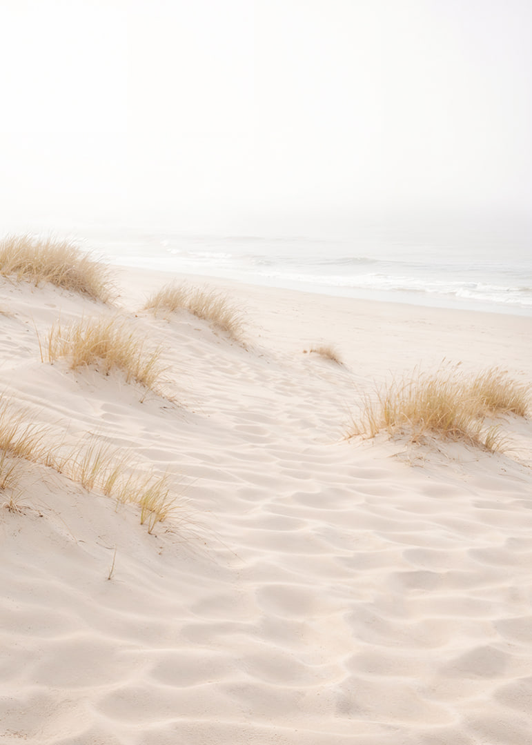 Soft sand and fog create a dreamlike beach atmosphere.-12