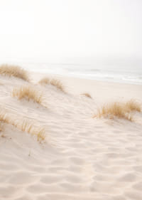 Soft sand and fog create a dreamlike beach atmosphere.-7